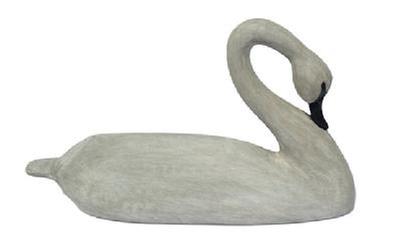  L452 Late 20th century Dorchester County, Maryland hand carved full sized wooden Swan Decoy with paddle tail and gracefully curved neck. Solid wood with glass eyes and original painted surface.  Approximate measurements: 31� long x ~17� tall.  