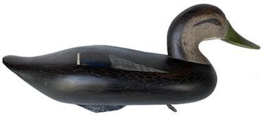 G157 Jim Pierce Black Duck Decoy, Havre de Grace, MD, painted eyes, solid body, mint original paint w/excellent detail, , signed in electro pen on bottom, makers brand JP