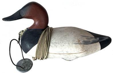 **SOLD** G680C Canvasback Drake decoy carved by Jim Pierce of Havre de Grace, MD. Original painted surface. Original staple, ring and weight intact on bottom. Homemade secondary weight attached via vintage cotton cord.  
