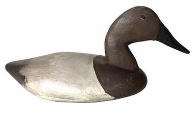 **SOLD** G786 Earlie Talbot County Maryland Elliott brother's canvasback hen Decoy, old working repaint, branded J.M. D. in very good condition