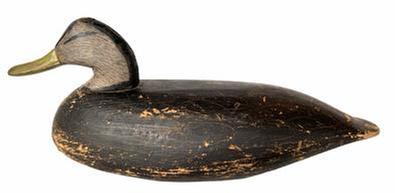 H202 Early Black Duck Decoy carved by Doug Jester of Chincoteague, Virginia. Circa 1920�s original scratch feather painting. His speedy carving process provided affordable decoys for local hunters. Balsa, cedar, cottonwood and pine were preferable materials.