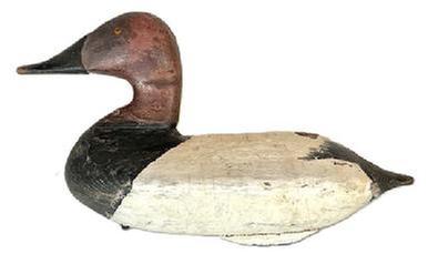 RM1577 Canvasback Drake decoy carved by Carroll "Wally" Algard (1883-1959) of Charlestown, Maryland with semi-high head and high neck shelf, bearing second coat working paint. Original weight and staple intact on bottom. Algard was a railroad track foreman who worked for the Pennsylvania Railroad. He was also a waterfowl hunter who made fine decoys.