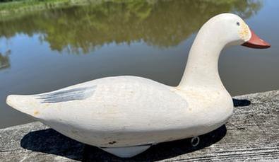 H438 Jim Pierce Snow Goose Decoy - signed on bottom � �Jim Pierce HdGrace, MD� and Branded "P" and "JP". Original paint. Retains original weight, ring and staple on bottom.
