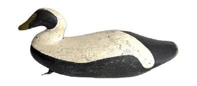 L460 Hand carved Eider Decoy from Maine � carver unknown. This breed of sea ducks is sometimes also referred to as Cuddy�s Duck. Approximate measurements: 19 &frac12;� long x 6 &frac34;� wide x 8 &frac14;� tall. 