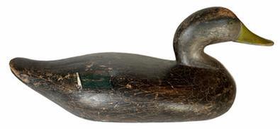 RM1356 Early black duck by R. Madison Mitchell (1901 - 1993) of Havre de Grace, Maryland. Circa 1940�s. Working decoy, all original. single-nail weight on bottom circa 1950