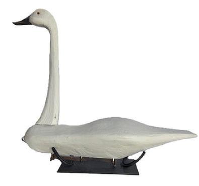 M72 Folk Art Swan Decoy with tack eyes and two railroad spikes as weights on bottom.  Hand carved, solid wood. Custom made stand for display purposes is made from iron horseshoes. Carver unknown. Approximate measurements: ~31� long x ~9� wide x ~27 &frac12;� tall. The bottom of the base measures 14� long x 6� wide.  