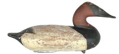 **SOLD** Q571 Rare - branded Canvasback Drake decoy carved by George Reed Lockard (1866-1931) from the Elk Neck area of Cecil County, Maryland -deeply branded �C� on the bottom.  Original weight and staple remain intact on bottom. 