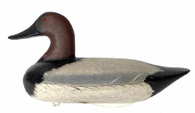 *SOLD* G349 Canvasback Decoy, carved by Capt. John Glenn, Rock Hall, Maryland, circa 1940�s.