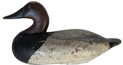 E374 Canvsback Drake by Henry Lockard   1868-1944  from Elk Neck, Cecil County Md