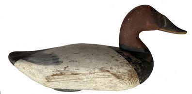 F281 Canvasback Drake decoy, carved by James A. Currier (1886 � 1971) of Havre De Grace, Maryland. Decoy was carved around 1930�s � 1940�s and retains a large portion of original paint as well as some of the second coat of paint.