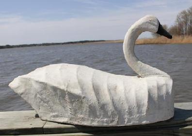 B205 Mid 20th century rare Virginia oversized canvas Swan, one of five made, made by Harrell Grimstead, owner of Bay Heaven in Virginia Beach, he was a well know hunting guide, one of the most knowledgeable people on Back Bay Virginia Decoys.