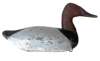 F595 Jim Currier high head Canvasback DrakeJames A. "Jim" Currier (1886-1969)Havre de Grace, MD, c. 1930 The distinctive carving of the head and Roman Nose bill make this high head decoy stand out from most Upper Bay decoys. Early second coat of working paint with gunning wear down to wood16 1/2 in. long