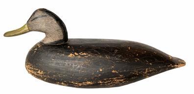 H202 Early Black Duck Decoy carved by Doug Jester of Chincoteague, Virginia. Circa 1920�s original scratch feather painting. His speedy carving process provided affordable decoys for local hunters. Balsa, cedar, cottonwood and pine were preferable materials.