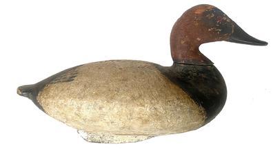 **SOLD** H280 Canvasback Drake decoy attributed to Taylor Boyd. Early working re-painted surface. Original iron keel weight, staple and ring intact on bottom. 