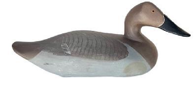 L413 Canvasback Hen decoy carved by Madison Mitchell (1901-1993) from Havre de Grace, Maryland. Electric pencil signature on bottom - "R. Madison Mitchell Havre de Grace, Md - 1971 Decoy has a slightly turned head, retains its original weight, staple and ring on bottom and bears its original painted surface with dry surface - never oiled or waxed.