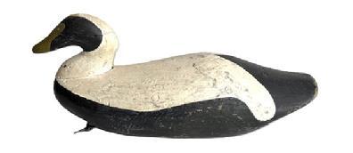L460 Hand carved Eider Decoy from Maine carver unknown. This breed of sea ducks is sometimes also referred to as Cuddys Duck. Approximate measurements: 19 ½ long x 6 ¾ wide x 8 ¼ tall.