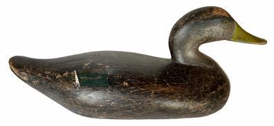 RM1356 Early black duck by R. Madison Mitchell (1901 - 1993) of Havre de Grace, Maryland. Circa 1940�s. Working decoy, all original. single-nail weight on bottom circa 1950