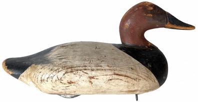 RM1281 Early 1940's canvasback drake decoy carved by Madison Mitchell of Havre De Grace, MD.  Decoy is all original, including staple and ring - and the single nail weight.  This was a working decoy and has evidence of being shot / hunted over. 