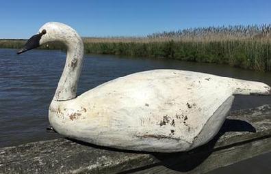 C220 Chincoteague Virginia,Full size white Swan, carved by Reggie Birch in LLoyd Tyler style