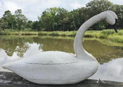 *SOLD* D395 Large full size wooden  white Swan, with a detailed carved head. R L W carved into bottom circa 1960