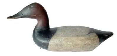 J242 Canvasback Decoy carved by Edwin Pearson (1863-1932) of Havre de Grace, Maryland. Surface has been professionally cleaned down to the original paint. Original weight, ring and staple remain intact on bottom.