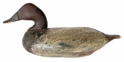G144 Early Canvasback decoy from Havre de Grace, Maryland in old working paint. Carver unknown. Tack eyes. Primitive, extremely early repair by tail. Original single nailed lead weight remains intact on bottom.