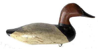 G364 Early canvasback drake decoy duck carved by James "Jim" Alexander Currier (1886-1971). Original paint in very good condition. Currier lived and carved in Havre de Grace, Maryland. He is a well known and respected carver. This canvasback drake decoy was probably carved around 1930.