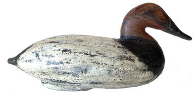 G758 Early canvasback Decoy arved by John Graham of Charlstown Maryland  1822-1912  This decoy still has the original iron keel weight with the brand R.M. Vandiver in old working repaint circa 1880-1900