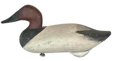 K1537 Canvasback Decoy carved by Madison Mitchell Havre de Grace, MD (1901-1993) bearing a nice second coat of working paint and a few areas showing evidence of being shot over. Original staple, ring and weight remain intact on bottom.   