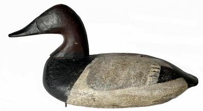 J99 John Graham Canvasback, Charlestown, Maryland, circa 1890's with original weight, ring and staple intact on bottom. In original working paint.