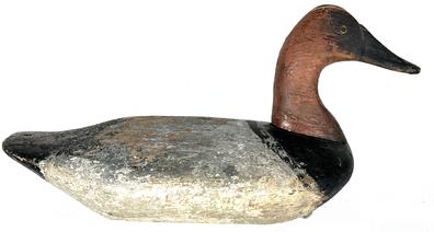 A251a  Rare high head Canvasback Drake by Sam Barnes (Samuel Treadway Barnes 1847-1926) of Havre De Grace Maryland, 1st quarter 20th century early second coat of working repaint,  with the remains of the original paint showing branded on the underside with a X.