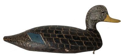 D523 Lloyd Taylor black Duck Decoy from Christfield Maryland, with a half turned head, working repaint. original weight