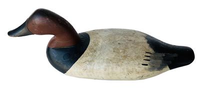 G447 Canvasback Decoy  carved by Bob Matthew Havre de grave Decoy made in Madison Mitchell shop  1950's