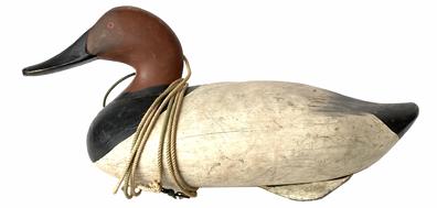 G680a Oversized Canvasback decoy by Madison Mitchell (1901-1993) of Havre De Grace, MD in original paint. Original weight and ring intact on bottom. Measurements: 17" long x ~7 1/2" tall x ~6 3/4" wide