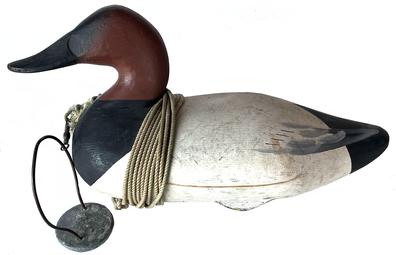 G680C Canvasback Drake decoy carved by Jim Pierce of Havre de Grace, MD. Original painted surface. Original staple, ring and weight intact on bottom. Homemade secondary weight attached via vintage cotton cord.  