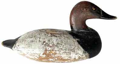 G830A Early Canvasback Decoy carved by Capt. Ben Dye (1827 - 1896) of Perryville, MD. Original ring, staple and iron keel weight intact on bottom. Approximate measurements: 14" long x 6" wide x 7 1/2" tall