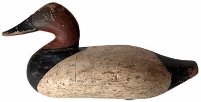 H11 Upper Bay canvasback duck decoy  carver unknown with rigging, with a J. carved in bottom of Decoy .