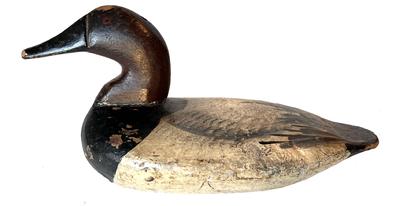 H162 Canvasback Decoy - Unknown Carver - Severn Hall re-paint. Full size.