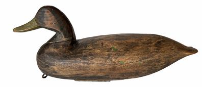 H204 Early Black Duck Decoy carved by Doug Jester of Chincoteague, Virginia. Circa 1920�s