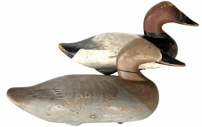 Early Canvasback decoys in original paint by R. Madison Mitchell,  circa1955 renowned decoy carver. Carved in the traditional Havre de Grace, MD style  Decoy is in good condition  original weight remains attached to the bottomR Madison Mitchell was born and grew up in Oakington, MD near the Swan River, south of Havre de Grace. The man who would become the undisputed dean of decoy-carvers began carving as a hobby in 1924 when business was slow at the funeral home he owned and operated. Mitchell made an art out of carving decoy waterfowl and played a large role in making it the decoy capital of the world. Mr. Mitchell's decoys are showcased in the Smithsonian Institution in Washington, but most of his work is immortalized in the Havre de Grace Decoy Museum.