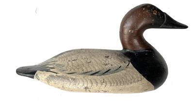  RM1506 Early 1900�s Canvasback Drake Decoy carved by Henry Lockard (1868-1944) of Elk Neck, Maryland with raised neck seat and long nostril carving. Decoy bears a repainted surface done by Severin Hall of North East, MD 