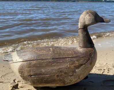 **SOLD** G756 Very rare 19th century Goose Decoy for Crisfield Maryland, with applied sloped head with tack eyes a fine carved short tail, a lot of the original paint is showing. On the bottom of the Decoy you can see square head nails which would have held the original weight. Later they drilled a hold so the decoy could rest on a pole, in the marsh. This Goose decoy id\s all original the carver is unknown circa 1860- 1870 it is 22" long and 15" tall