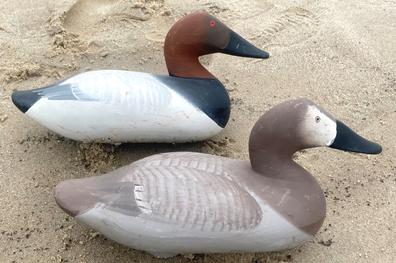 RM1382 Canvasback decoys in original paint by R. Madison Mitchell, circa1955 renowned decoy carver. Carved in the traditional Havre de Grace, MD style Decoy is in good condition original weight remains attached to the bottomR Madison Mitchell was born and grew up in Oakington, MD near the Swan River, south of Havre de Grace.