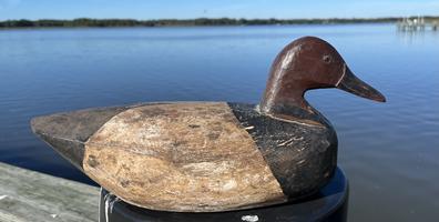 H938 Canvasback drake decoy carved by Captain John Smith (1871-1959), Ocean City, Maryland. John Smith was a boat builder, gunsmith, farmer, and decoy maker. His decoys are highly prized by folk art collectors. This particular decoy has original paint. 