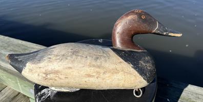 **SOLD** H939 Early canvasback decoy, carved by Paul Gibson, Havre de Grace, Maryland circa 1950 original paint and rigging  