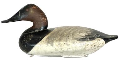 RM1525 Bayard Decoy