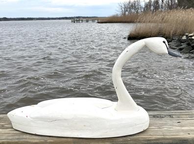 **SOLD** K142 Eastern Shore, Maryland full sized white swan decoy with multi-layered body / raised wings in the Talbot County style of carving. Unknown carver. Circa 1940s. Approximate Measurements:  35 long x 10 ½ wide x 17½ tall.