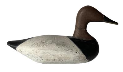 K182 High head Canvasback Db McGaw (1879-1958) of Havre drake Decoy carved by Bob Grace, Maryland. Original staple, ring, and weight intact on bottom. Surface bears multiple layers of old working paint with original painted surface showing in some areas  and bears evidence of being shot over.  