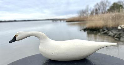 J69 Miniature white Swan with outstretched neck - signed on bottom: Dick Robinson. (Dick Robinson of Bel Air, MD) Approximate Measurements: 10 3/4" long x 2 1/4" wide x 3" tall
