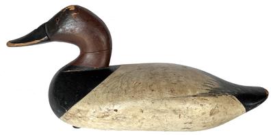 J258 Canvasback Drake decoy carved by Madison Mitchell (1901-1993) of Havre de Grace, Maryland. Circa 1940's. Original painted surface. Original staple and ring intact, however it is missing the weight on bottom. 